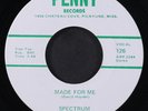 SPECTRUM: made for me / forever and always PENNY 7