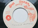 Twinkle Brothers - If Jah Is For I And I - Reggae Roots Rare Jah Shaka Blank