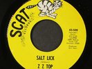 ZZ TOP: salt lick / miller's farm SCAT 7