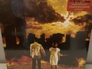 Scary Kids Scaring Kids City Sleeps In Flames TOUR Vinyl FIRE LP Self Titled oop