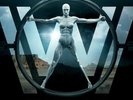 Ramin Djawadi ?– Westworld Season 1 Vinyl, LP, Album