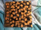 Garbage Queer 7” Vinyl Plastic Case Individually Numbered 00478