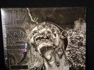 Wormrot – Dirge Lp Yellow Grindcore Napalm Death Carcass Pig Destroyer Magruderg