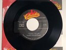 Bobby Fuller Four / I Fought The Law / 45rpm / Mint
