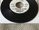 Sunny & The Sunliners - if i could see you now - RPR - VG+