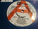 THE INVITATIONS WHAT'S WRONG WITH ME BABY? IN DEMAND 1965 STATESIDE SS478  DEMO