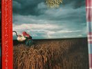 DEPECHE MODE 'A Broken Frame' Japan LP, inserts & obi