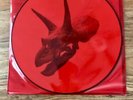 Alice in Chains RARE The Devil Put Dinosaurs Here Vinyl LP Picture Discs