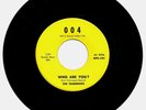THE TEARDROPS-COLORADO 60’S GARAGE-1966-‘WHO ARE YOU” 004 RECORDS