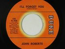 Northern Soul 45 - John Roberts - I'll Forget You - Duke - VG+ mp3