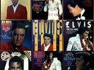 Elvis Presley Vinyl Bundle Vol. 32: 9x LP The U.S.Male, Elvis Forever, ... .