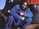 Apache - Apache Ain't Shit '93 LP US ORG  Large Professor A.T.C.Q.