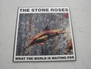 The Stone Roses...What the world is waiting for / Fools Gold 1989, 7