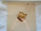 BARBRA STREISAND - BUTTERFLY  - COLUMBIA PC 33005 - GATE COVER - sealed