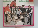 The Tielman-Brothers-Hello Caterina/Say you are mine / Ariola18275 AT