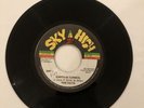 Fire Fact - Earth In Turmoil “7” vinyl Sky High (original)