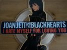 Joan Jett & The Blackhearts - I Hate Myself For Loving You (Vinyl Picture Disc)