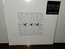 EDEN - I Think You Think Too Much Of Me - Clear Vinyl - ITYTTMOM