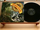 THE INCREDIBLE BONGO BAND-Bongo Rock-/UK ‘75 DJM (DJLPS 452) 1st press LP NM