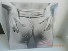 Scissor Sisters ?– Night Work   LP   1 st   SS