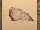Coldplay - The Scientist 7
