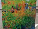 Jhené Aiko - Trip Translucent Orange Vinyl LP