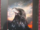 THE STRANGLERS - THE RAVEN -  Ltd Coloured Vinyl LP.Art Print No 1324/1500 CGLP4