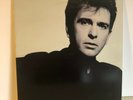 Original Peter Gabriel So LP Album 1986 Warner Bros Records GHS 24088 VG+