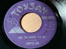 CHAPTER ONE Toxsan HOW CAN ANYONE (TELL ME)/ THINKING ABOUT THE DAYS VG-  LISTEN