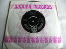 SHADOWS OF KNIGHT   SHAKE ** 1968 BUDDAH 45 HAMMOND PSYCH