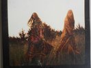 First Aid Kit - The Lion's Roar 12