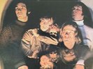 The Baroques - S/T - Sweet Dandelion - SWDDL709A - LP