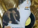 Delilah Her Master's Voice Freddy Mercury #477 of 500