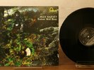 Alex Harvey, Album ROMAN WALL BLUES, Vinyl LP, Rock, Fontana STL.5534, RARE NM