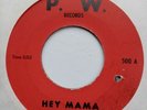 Peter & The Wolves - Hey Mama / Only Everything - 1967 US Garage Private Press