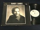 RANDY SANDS I Love Him Too Much RARE Gospel Modern Soul Synth LP on WOOD