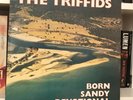 The Triffids- Born Sandy Devotional- 1986- HOTLP 1023 (VG+/VG+)