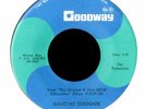 THE SILHOUETTES / NOT ME BABY / GAUCHO SERENADE 45 RPM PROMO GOODWAY / NEAR MINT