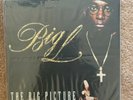 BIG L  The Big Picture 1974-1999 VINYL 2xLP (Gang Starr, DJ Premier, Tupac)