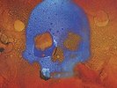 Bronx - V - LP Vinyl - NEW