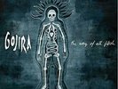 Gojira - Way of All Flesh - LP Vinyl - POSH194 - NEW