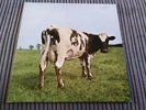 Pink Floyd- Atom Heart Mother LP (1970 Album UK EMI Harvest Vinyl) A4/B3 SHVL781