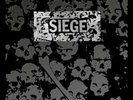 SIEGE ?– Drop[ Dead -  Complete Discography 2 x LP (2019) Hardcore Punk