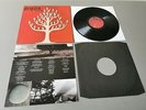 GOJIRA limited 250 black Vinyl LP The Link (2012 France)