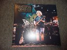 THE GRATEFUL DEAD Live Mountain View 1994 Vol. 1 - 2x Vinyl LP - EX/EX