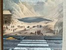Colapesce Dimartino - Musica Leggerissima / Povera Patria -7