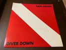 Van Halen Diver Down 1982 ORIGINAL INNER VG+/VG++ David Lee Roth Rock Classic LP