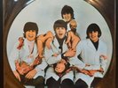 The Beatles - Yesterday & Today (Butcher Cover Vinyl Picture Disc) Mint