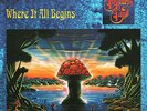 Allman Brothers Band ?- Where It All Begins 2 x LP 180 SWIRL COLORED Vinyl Album