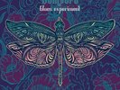 Samsara Blues Experiment End Of Forever Vinyl New Import